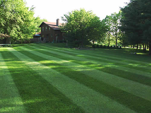 Lawn best sale mowing contractors